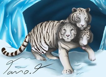 Snow tiger by istaanime4ever